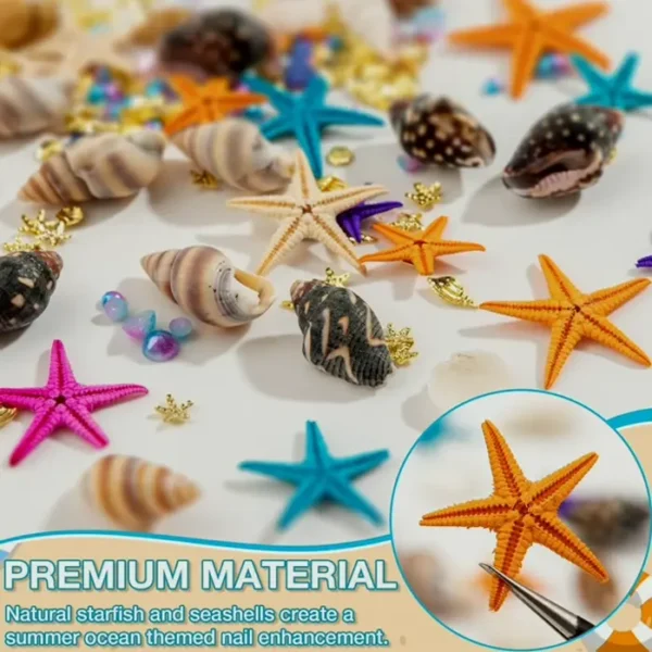 Beach Nail Charms - 24 Grids including Shells, Stars & Jewels