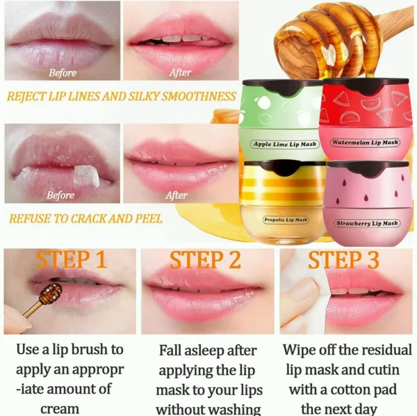 Honey Lip Moisturizer Jar, 4 Pieces Assorted Flavors