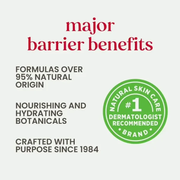 Burt Bees Flavorful Lip Balm 4-Pack