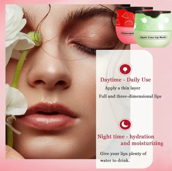 Honey Lip Moisturizer Jar, 4 Pieces Assorted Flavors