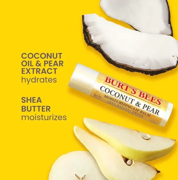 Burt Bees Flavorful Lip Balm 4-Pack