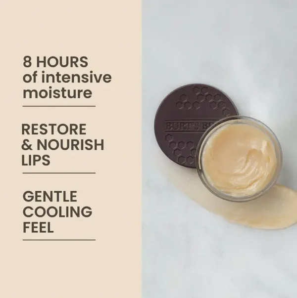 Burt's Bees Nighttime Mouth Therapy, 0.25 oz, Moisturizing, Rejuvenating