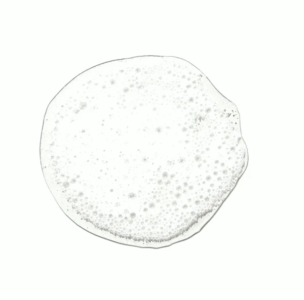 Mitchell Purifying Shampoo for Every Hair Kinds 10.14 ounces